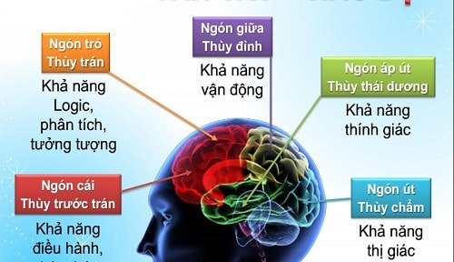 Nguyên lý hoạt động của Công nghệ nhận dạng vân tay