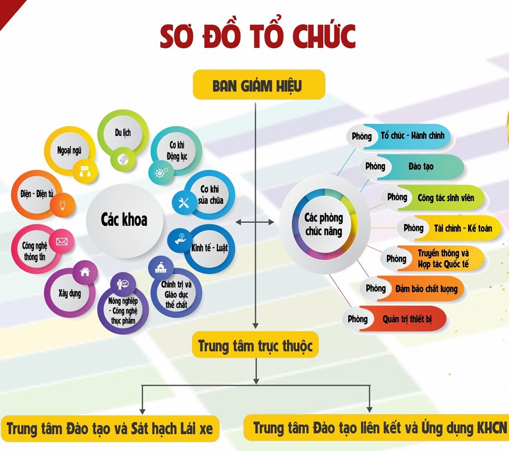 Cơ cấu tổ chức