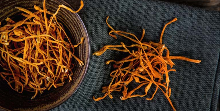 Lưu ý khi dùng đông trùng hạ thảo   