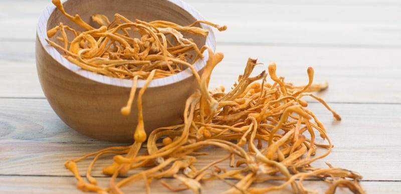 Dấu hiệu nhận biết đông trùng hạ thảo bị mốc    