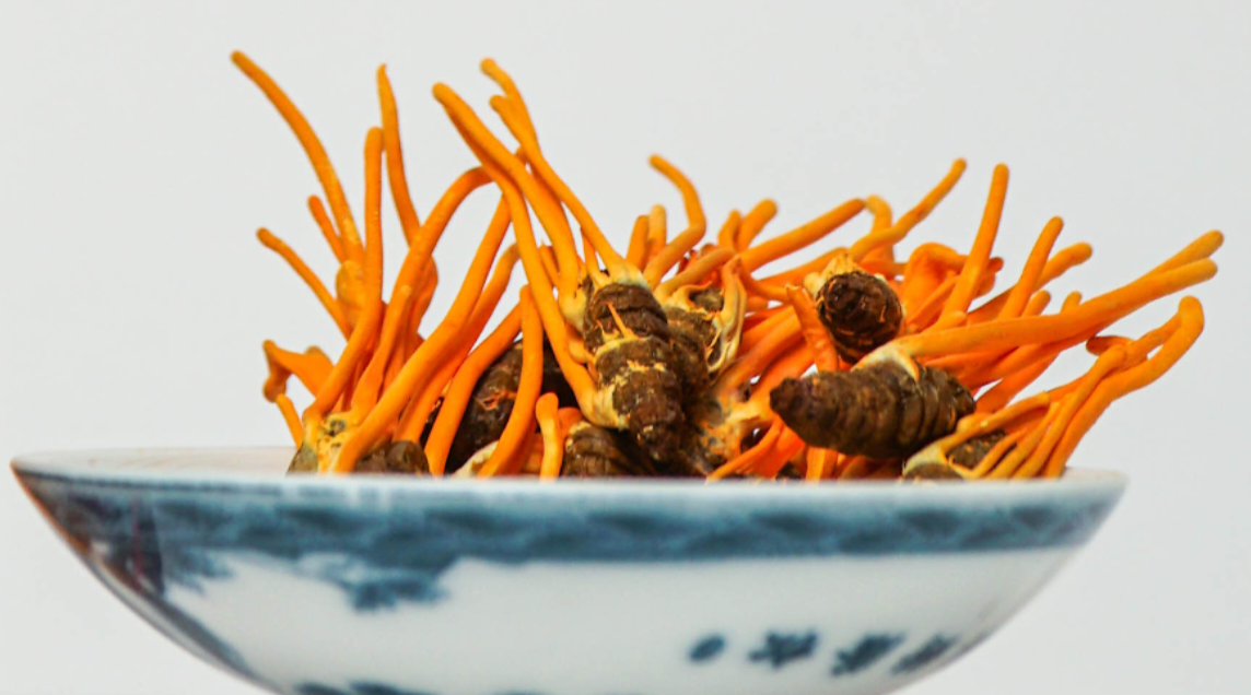 Video giới thiệu sản phẩm