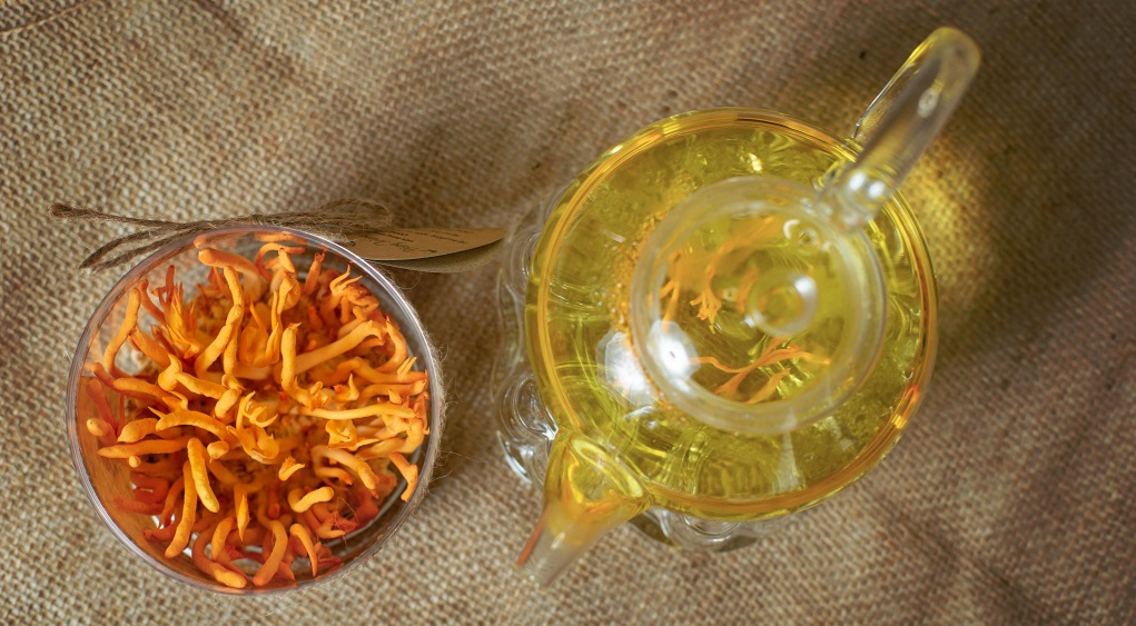 Trà đông trùng hạ thảo   