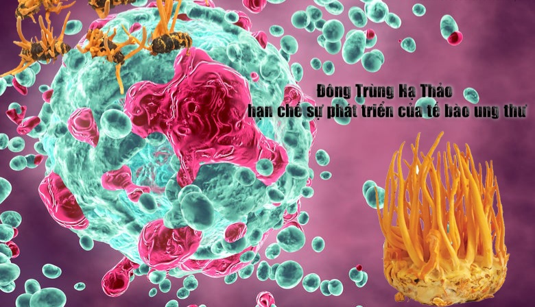 Ức chế sự phát triển của khối u   