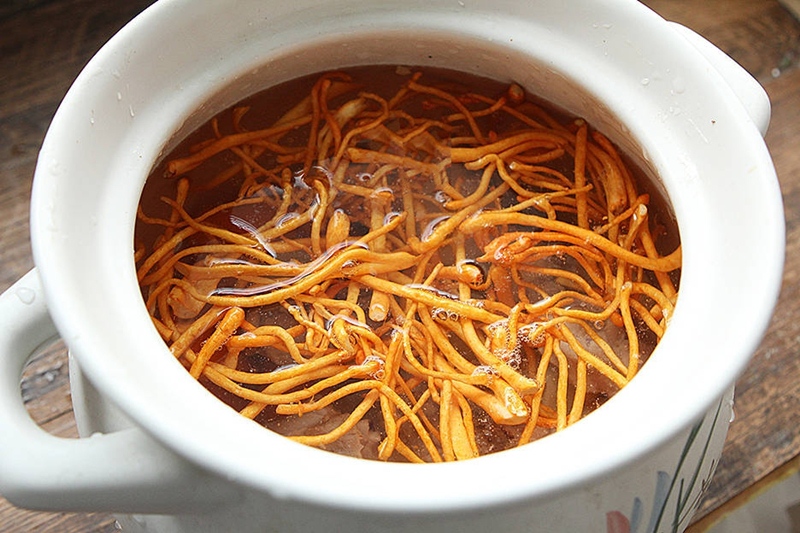 Những trường hợp không nên sử dụng đông trùng hạ thảo tăng cân