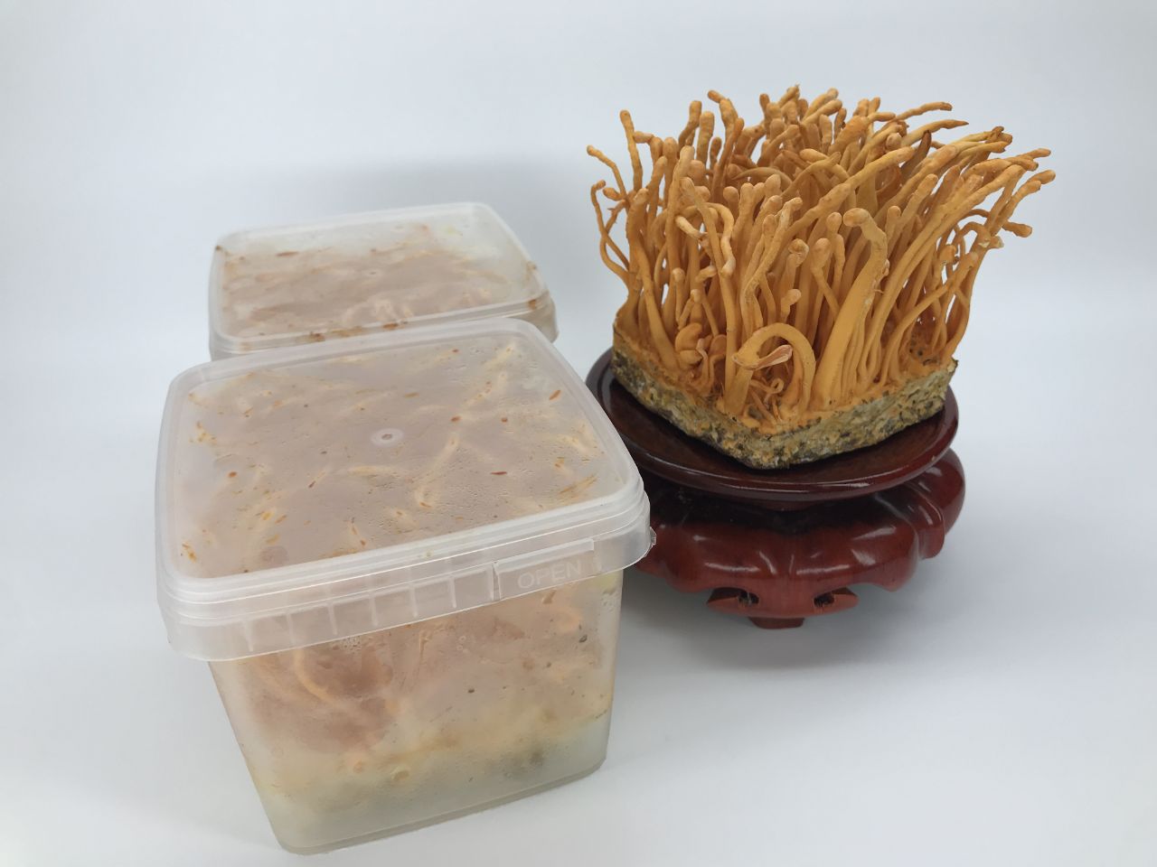 Cách phân biệt đông trùng hạ thảo nhân tạo và tự nhiên