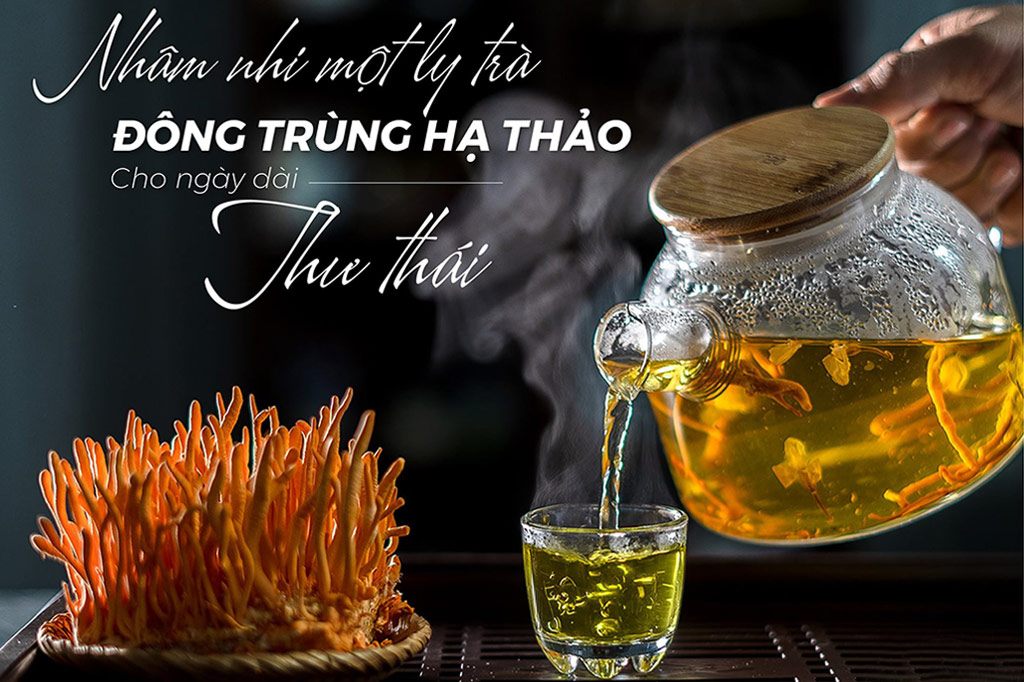 Những lợi ích của việc sử dụng đông trùng hạ thảo