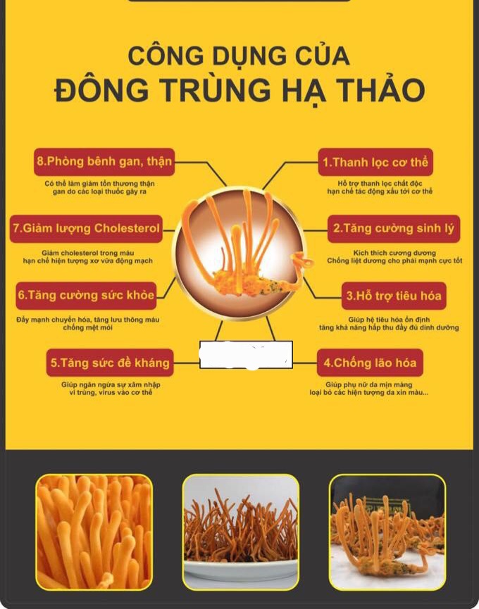 Công dụng của đông trùng hạ thảo sấy thăng hoa