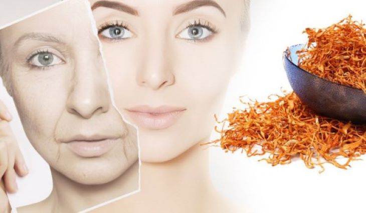 Đông trùng hạ thảo quả thể sấy khô rất tốt đối với phái nữ