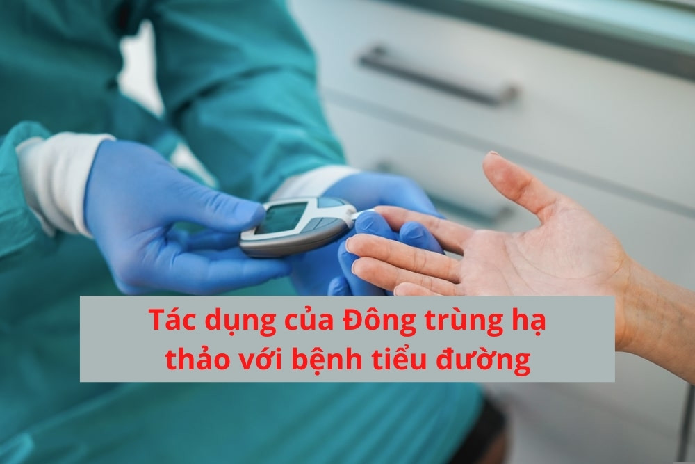 Đông trùng hạ thảo có tác dụng giúp quản lý bệnh tiểu đường loại 2