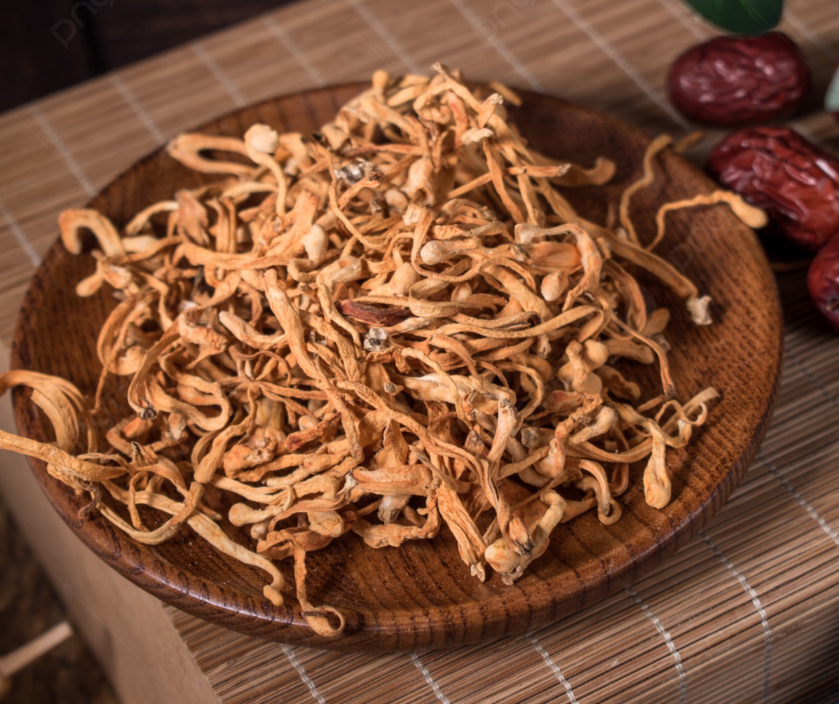 Lưu ý khi dùng đông trùng hạ thảo