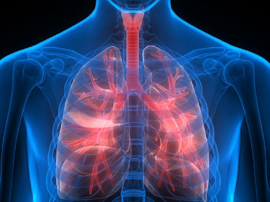 Cải thiện chức năng hệ hô hấp