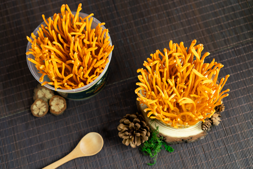 Người gầy dùng đông trùng hạ thảo tăng cân không?