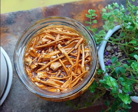 Đông trùng hạ thảo dùng ngâm mật ong