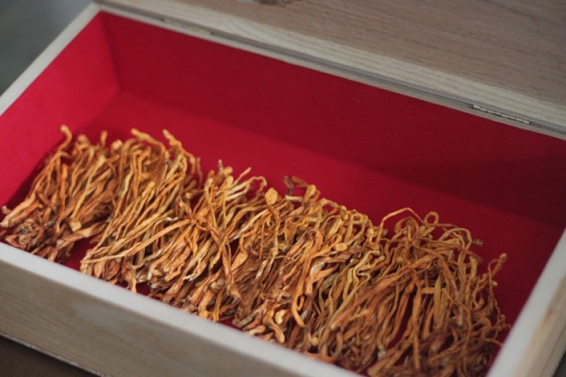 Đông trùng hạ thảo sấy thăng hoa