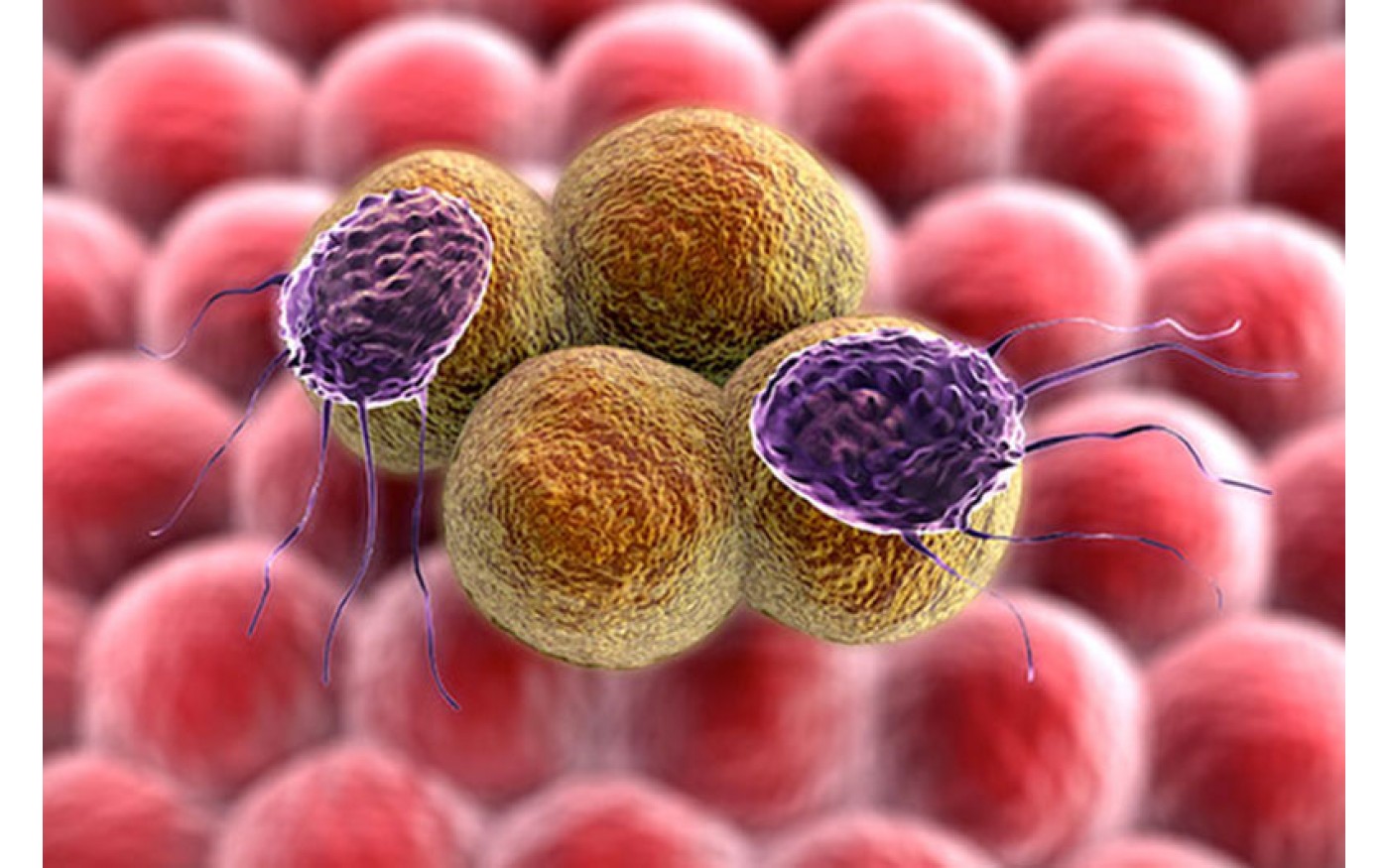 Tác dụng chống khối u tiềm năng