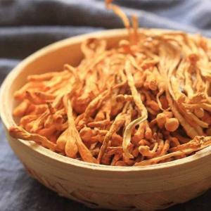 Bồi bổ sức khỏe