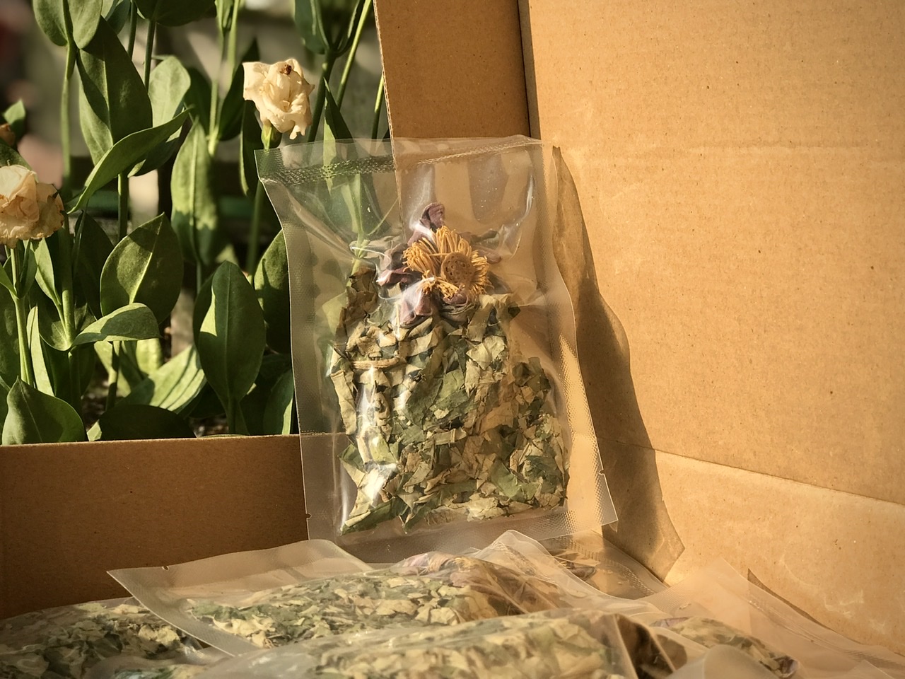 Thưởng trà khi đi du lịch