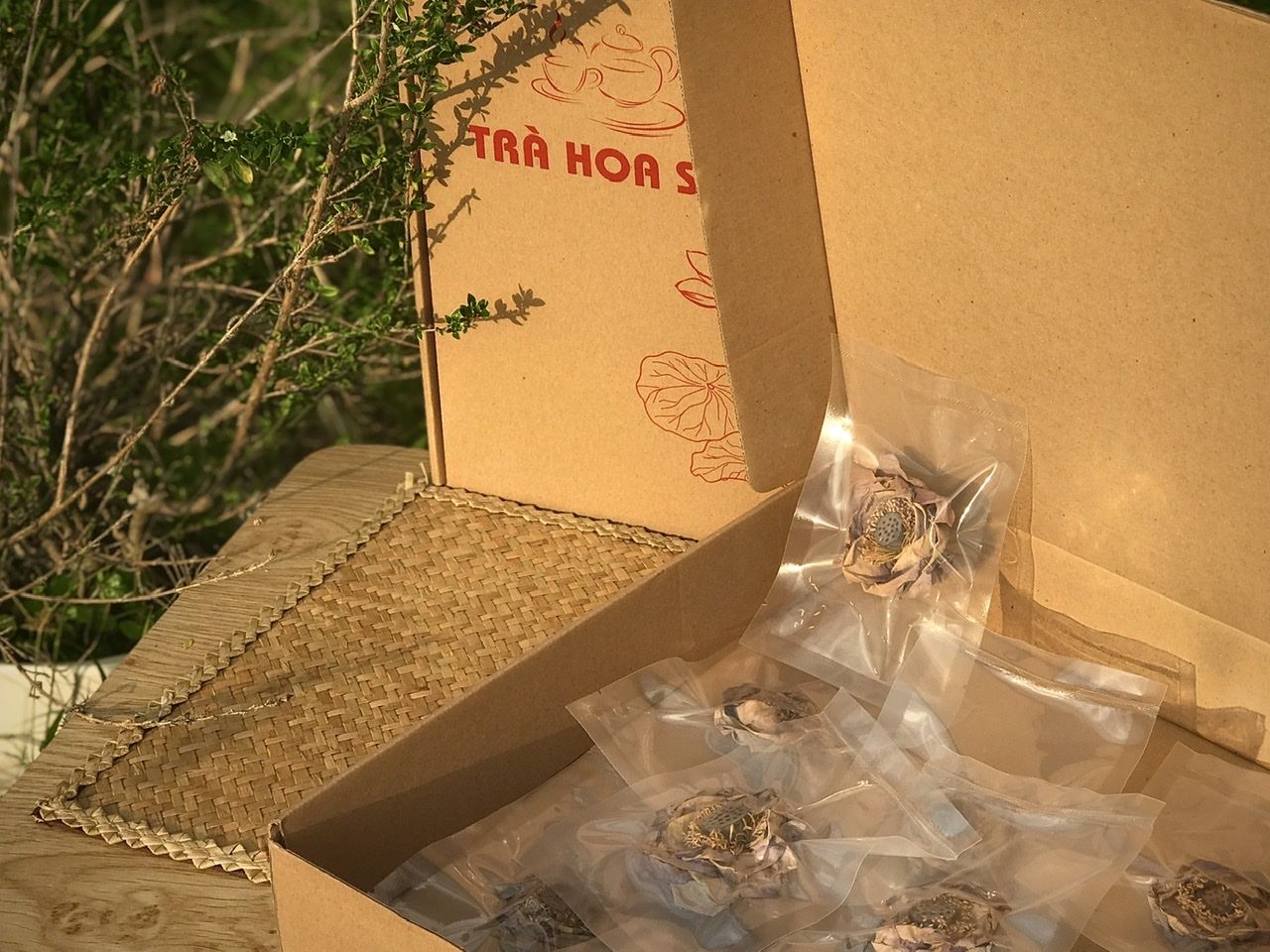 Tìm hiểu về trà hoa sen