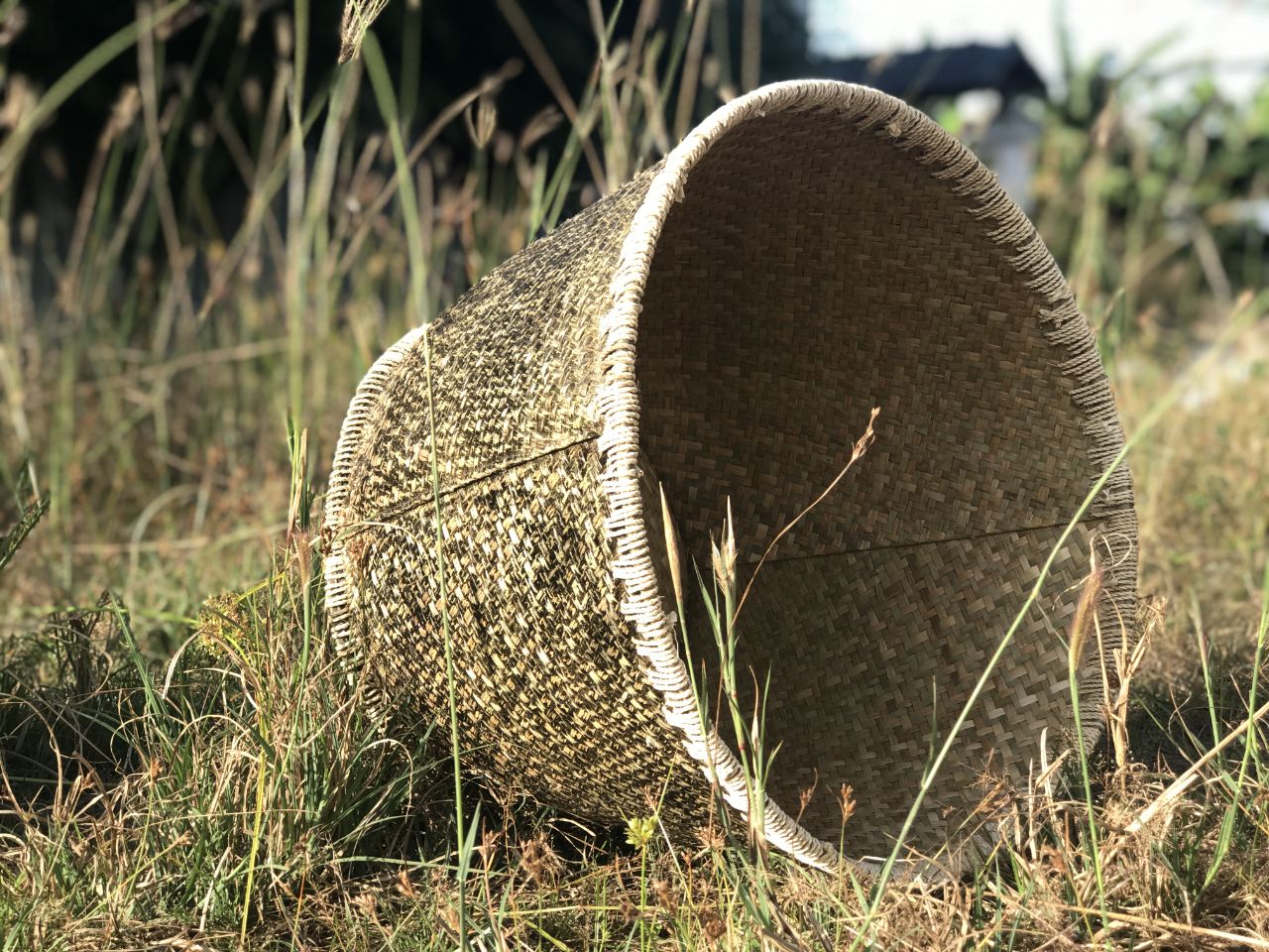 Tính thẩm mỹ cao