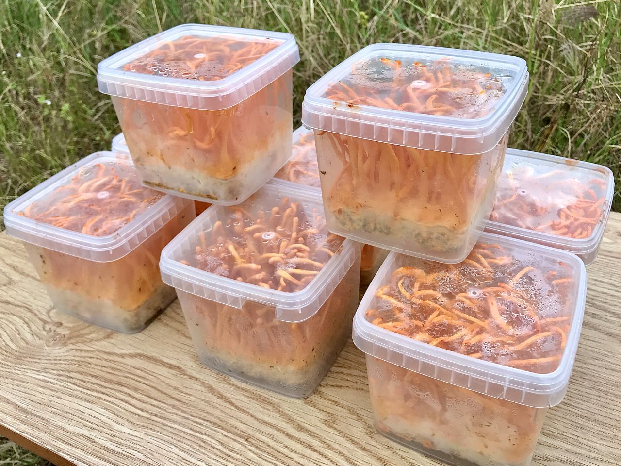 Cách sử dụng đông trùng hạ thảo giảm cân an toàn và hiệu quả