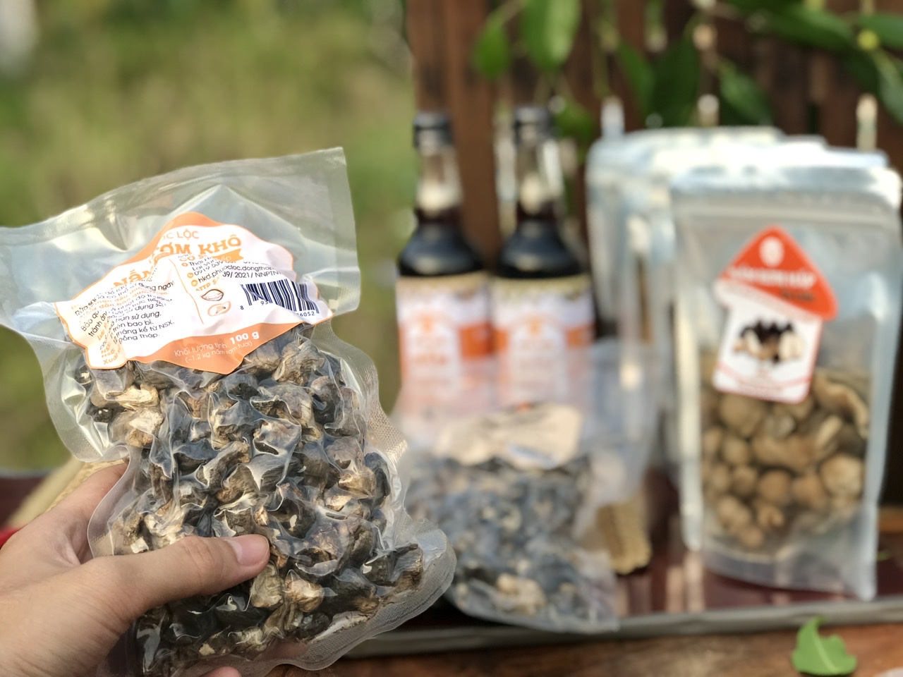 Nấm rơm có công dụng tuyệt vời đối với sức khỏe