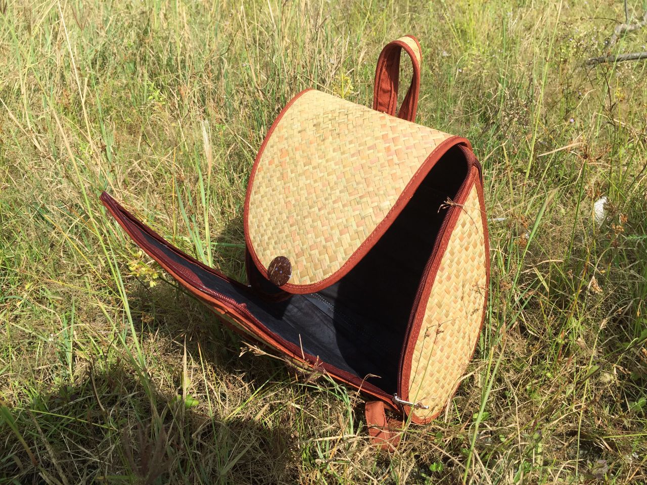 Kiểu dáng và màu sắc