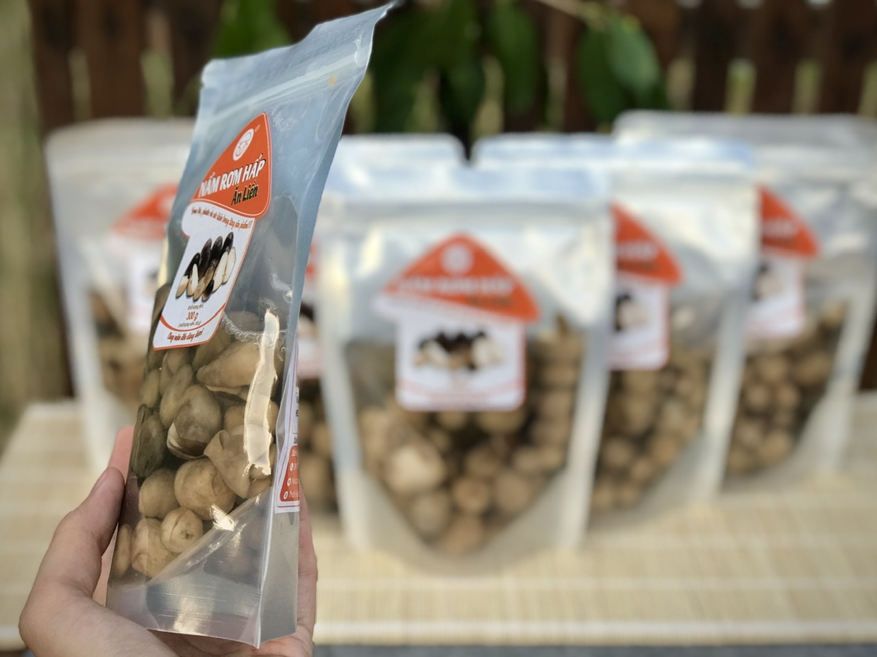 Công dụng của nấm rơm