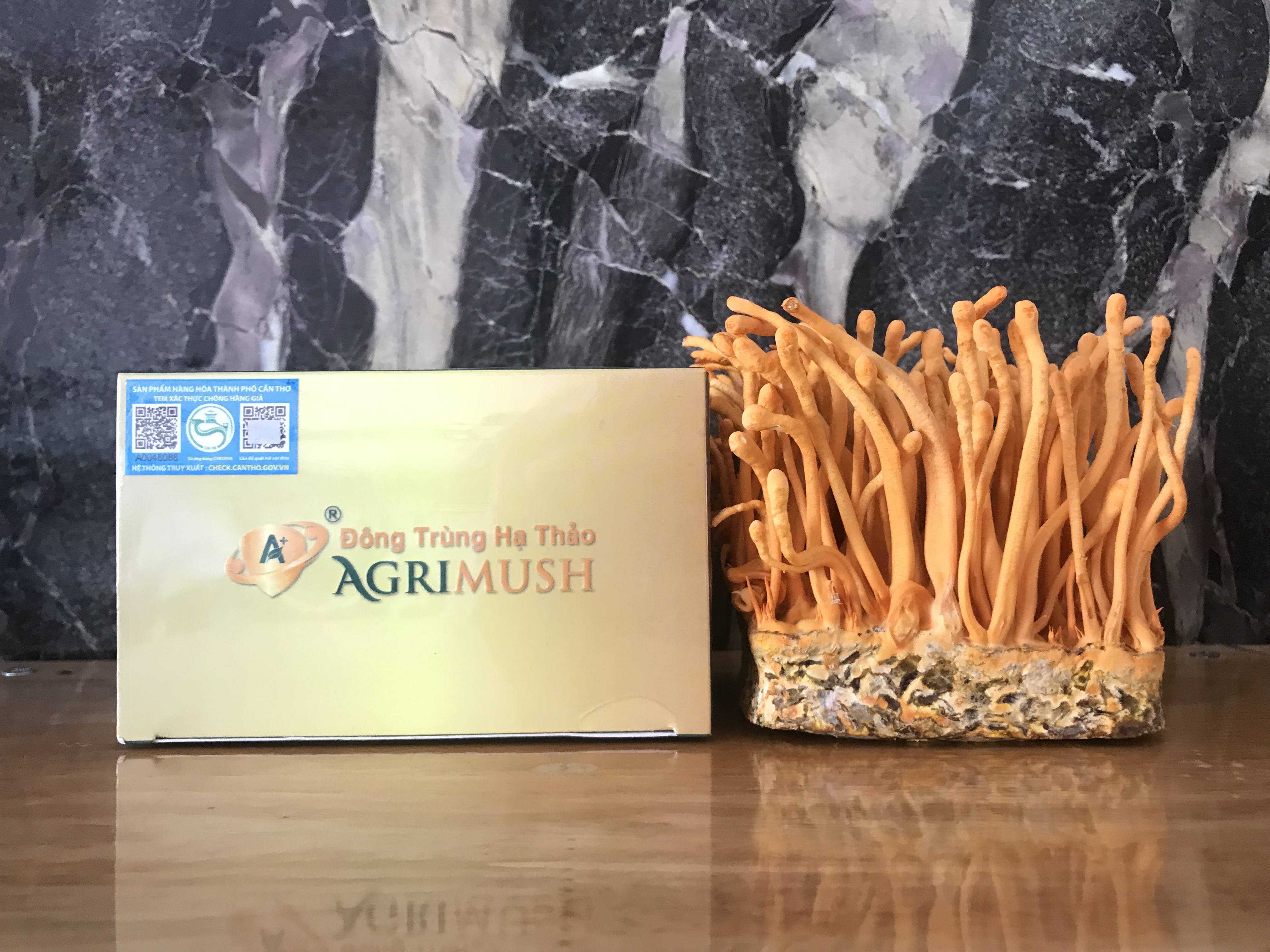 Trà đông trùng hạ thảo túi lọc