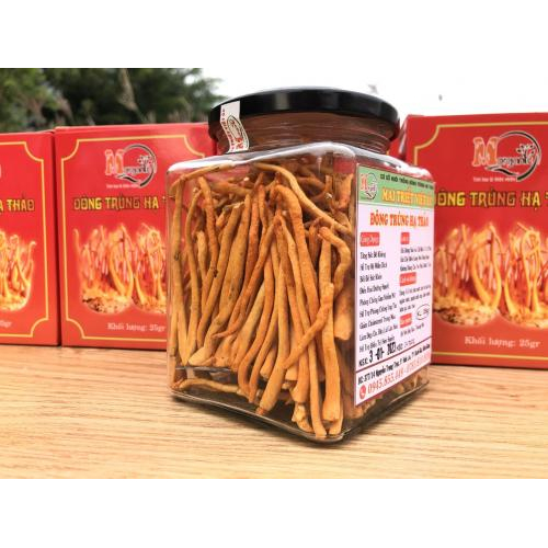 Người trưởng thành có sức khỏe bình thường