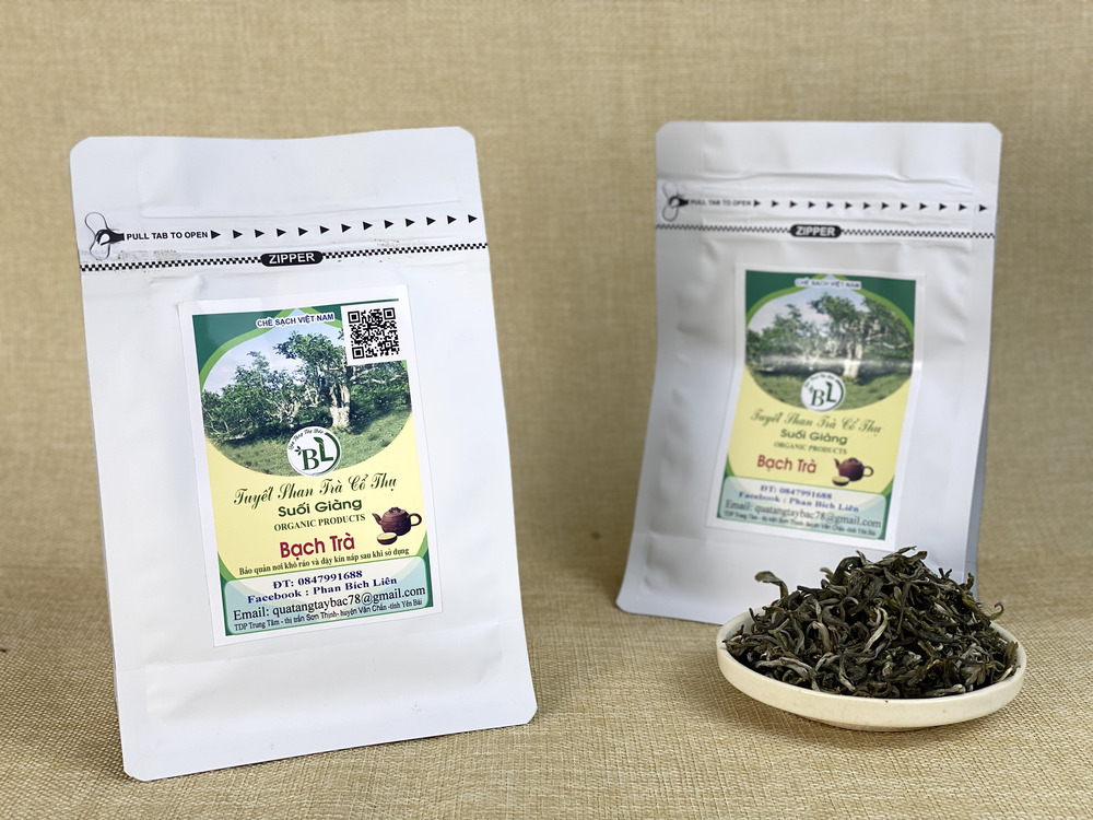 Hỗ trợ giảm cân