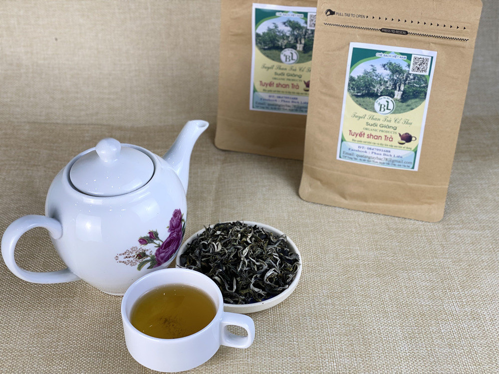 Trà Shan Tuyết có lợi cho người trưởng thành