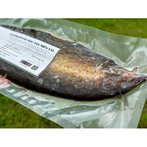 Cá chạch có chất dinh dưỡng gì?