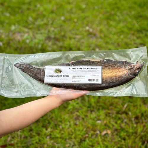 Cách bảo quản cá chạch