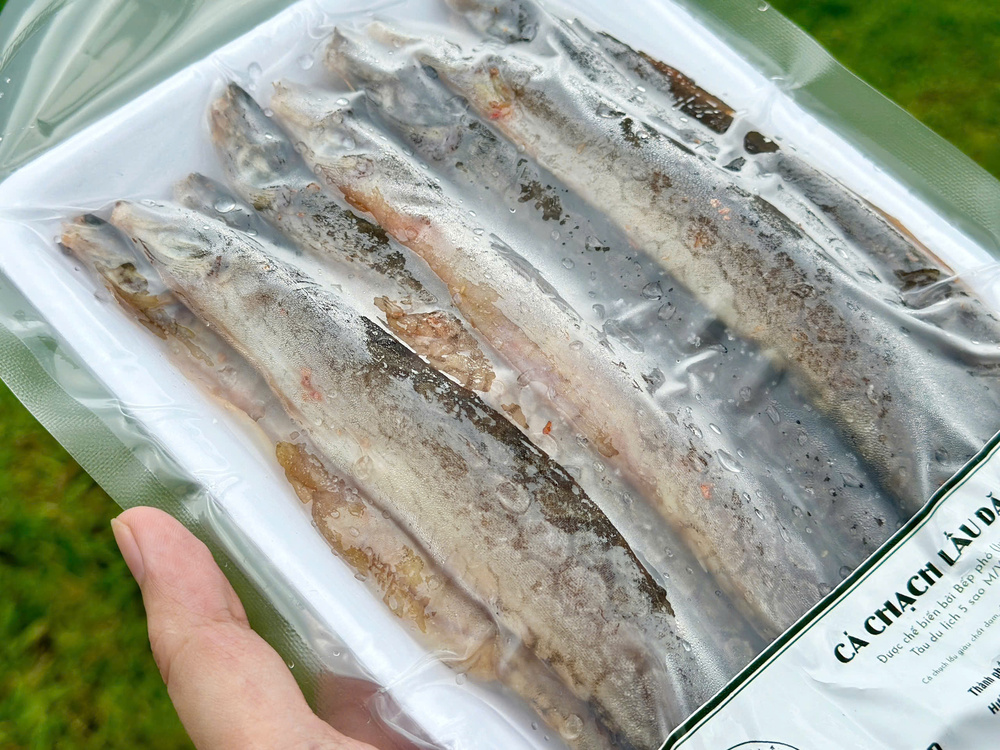 Bụng và hậu môn cá