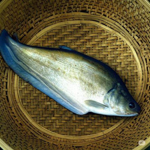 Nên ăn bao nhiêu cá thác lác mỗi ngày?