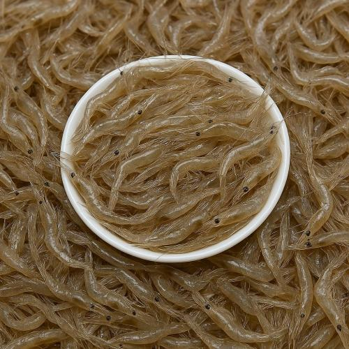 Đặc điểm của tép đồng tươi