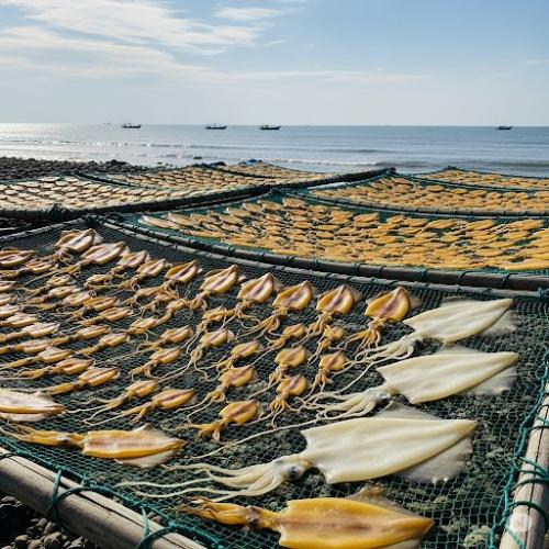 Cách phơi mực một nắng chuẩn