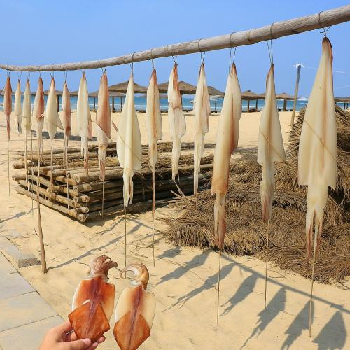 Mực một nắng có chất gì?