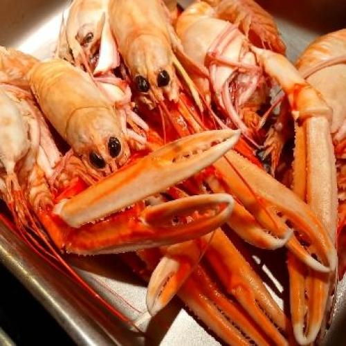 Thành phần dinh dưỡng của tôm càng biển