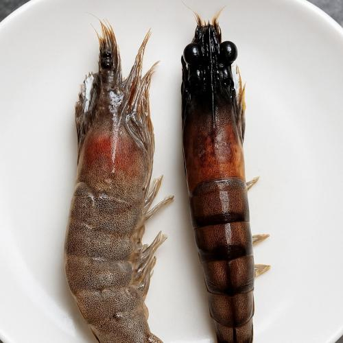 Do quá trình oxy hóa