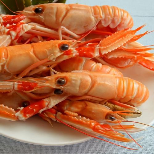 Cải thiện hệ miễn dịch