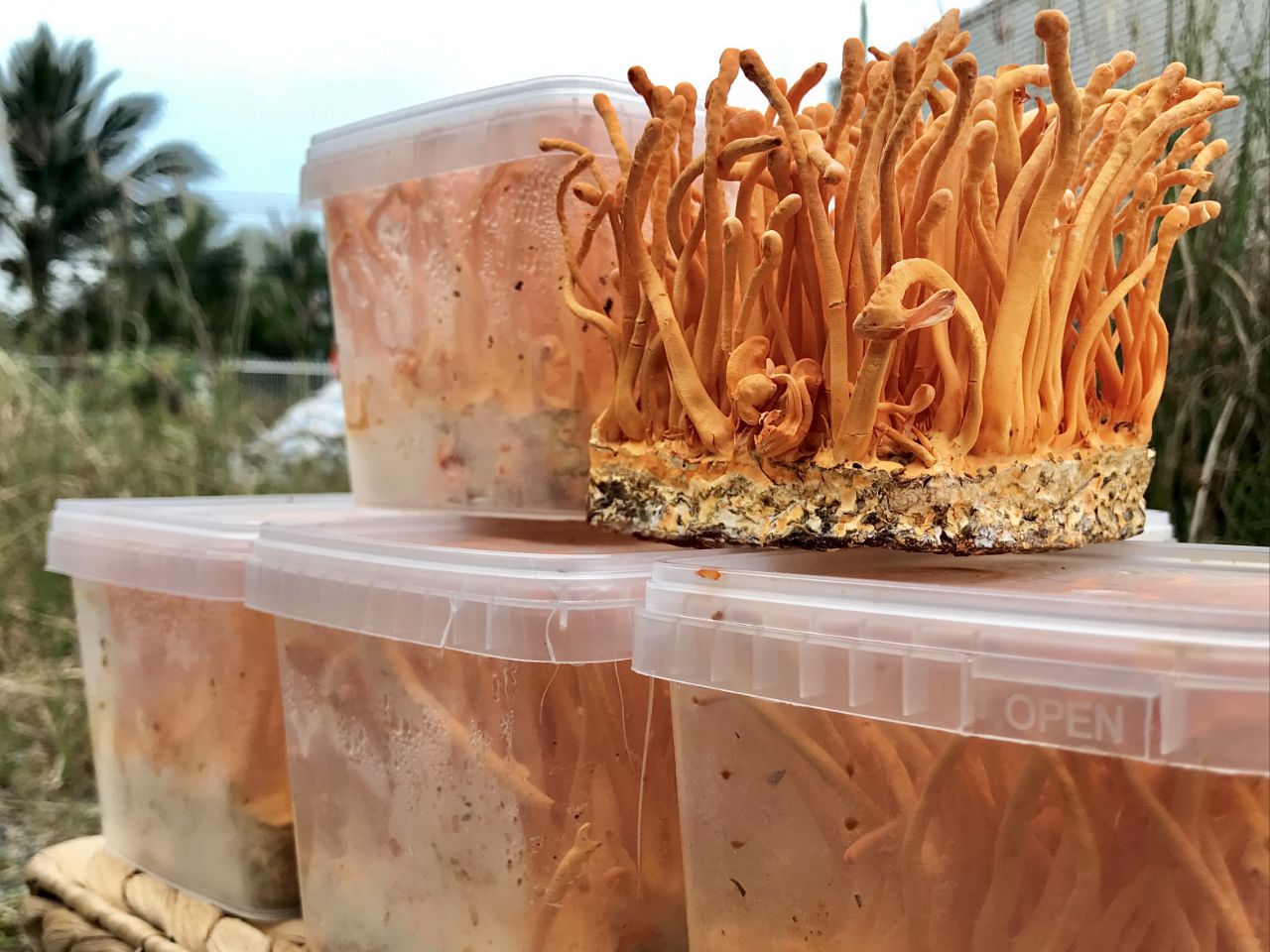 Bảo quản đúng cách