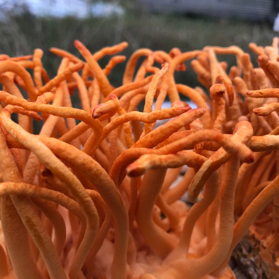 Tương tác thuốc nguy hiểm