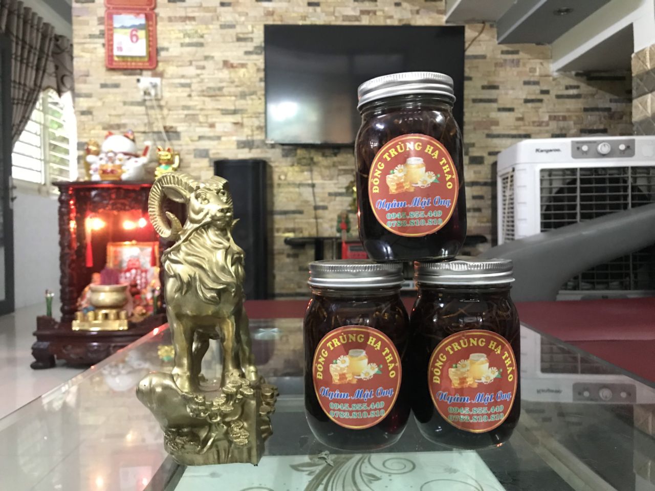 Củng cố miễn dịch