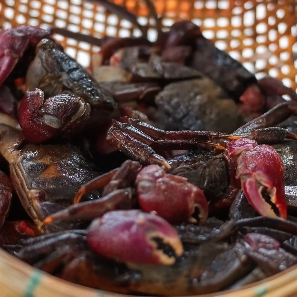 Phụ Nữ Mang Thai Ăn Ba Khía Được Không?