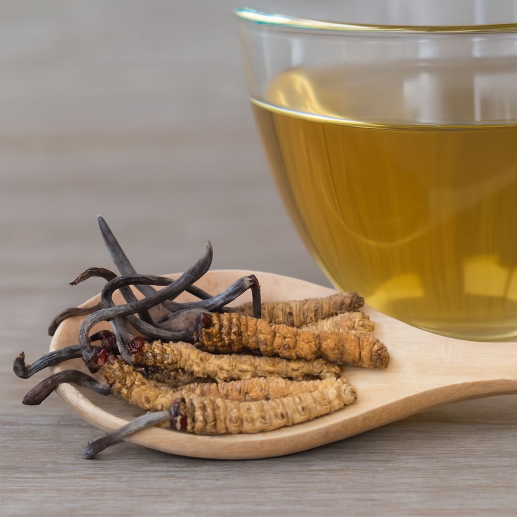 Hỗ trợ cải thiện sinh lý