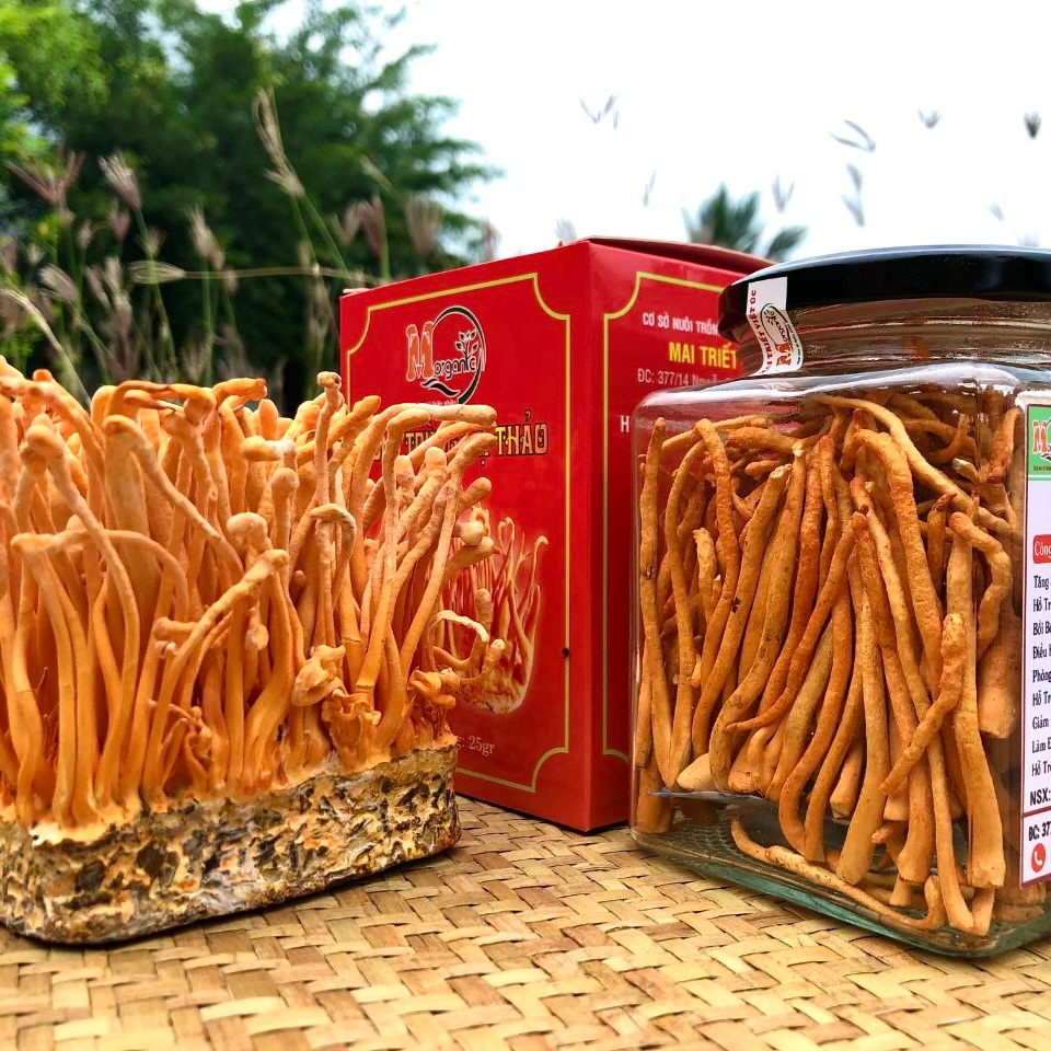 Tăng hiệu suất tập luyện