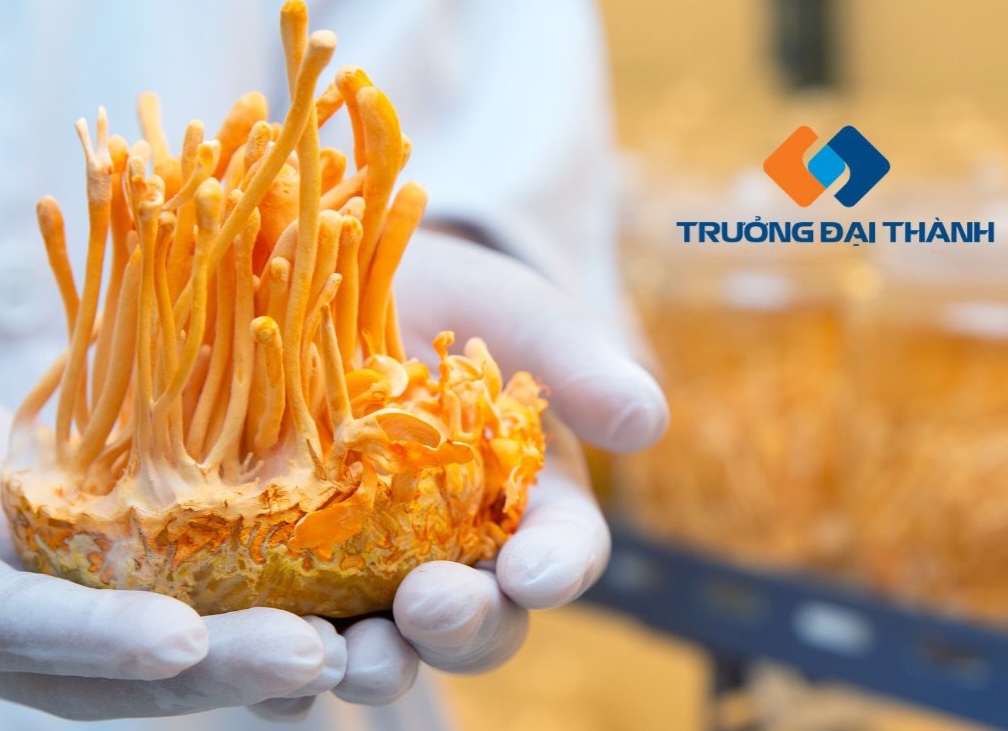 Trưởng Đại Thành Group