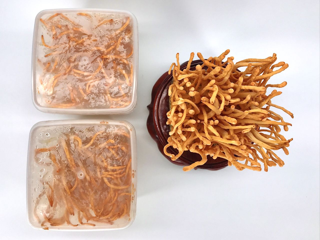 Gây rối loạn tiêu hóa