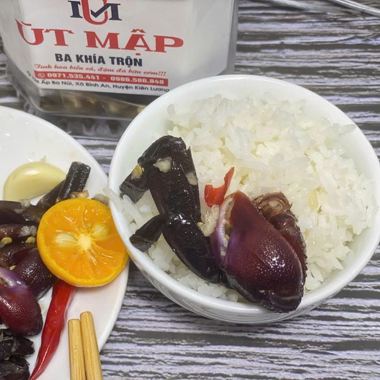 Làm sao để bắt ba khía?